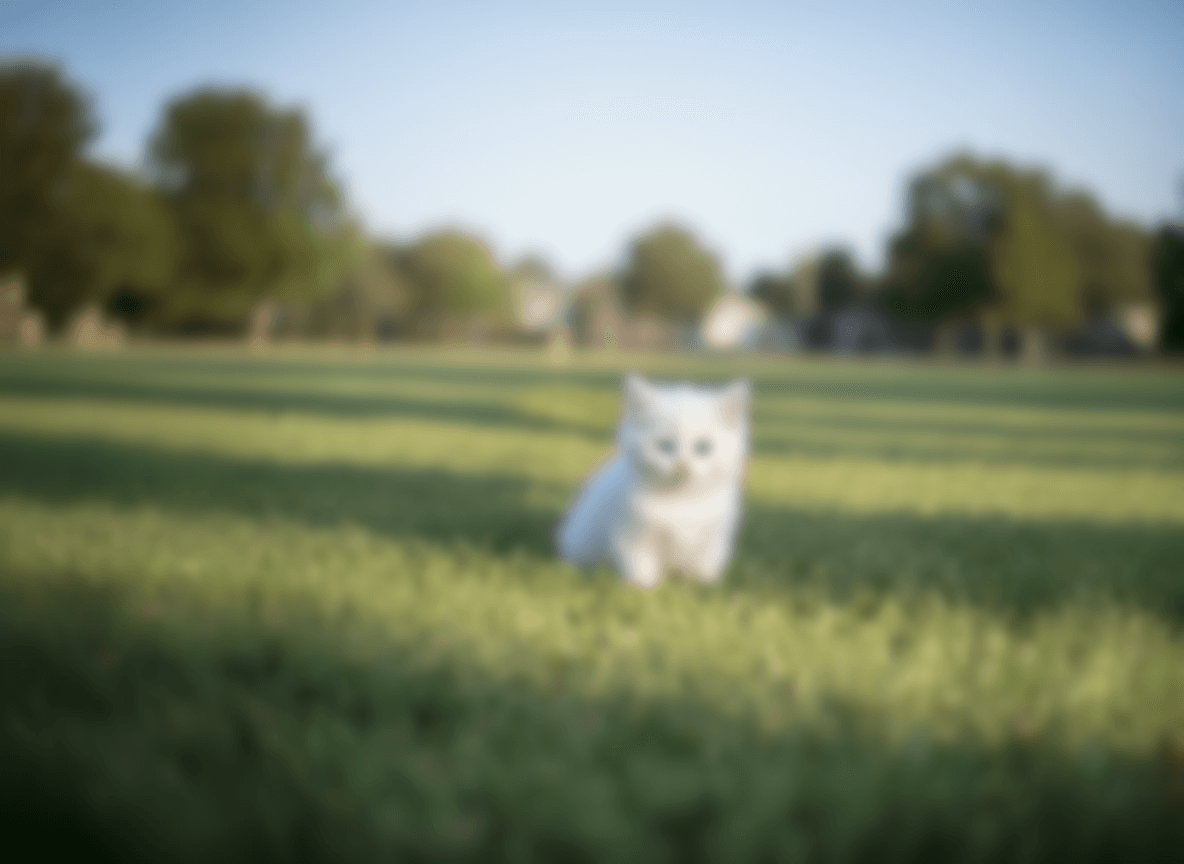 HD Image Enhancement - Original